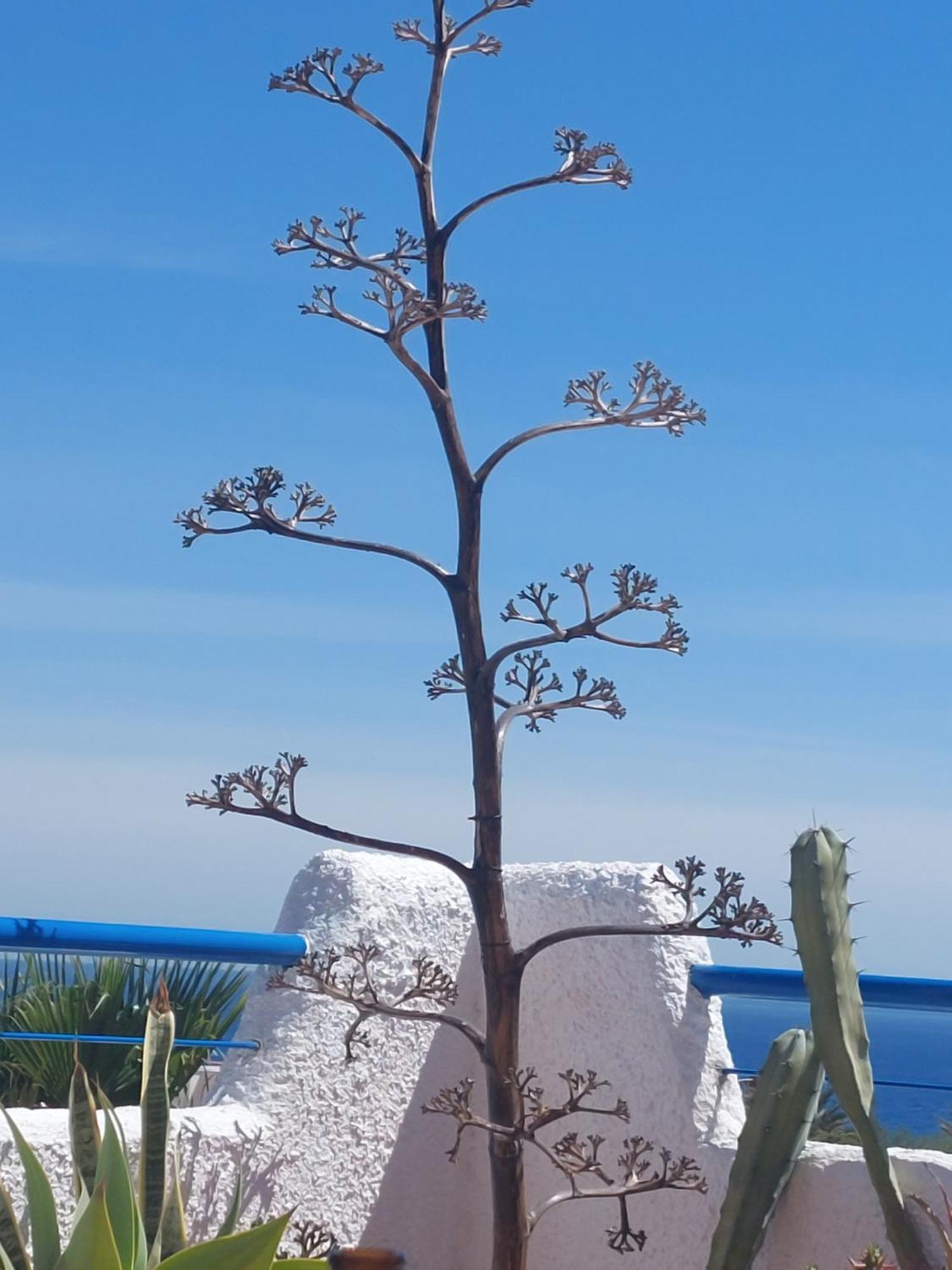 Isleta Apartamento Con Terraza, Vistas Y Wifi La Isleta del Moro Εξωτερικό φωτογραφία